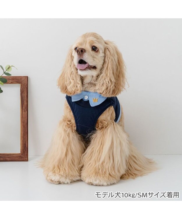 PET PARADISE ペットパラダイス 襟付きベストハーネス ＳＭ ネイビー×ブルー