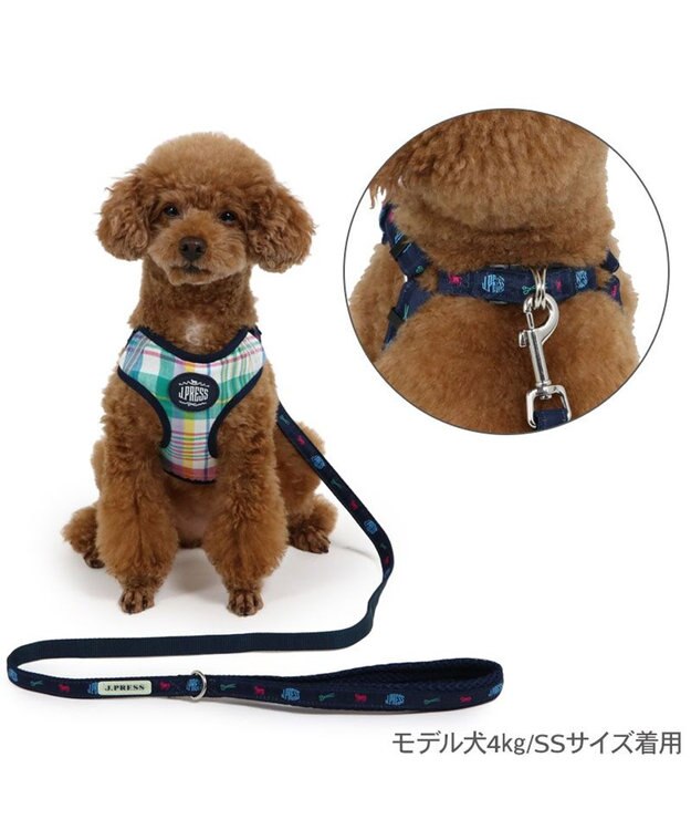 PET PARADISE J.PRESS マドラスチェック ハーネス＆リード Ｓ マルチカラー