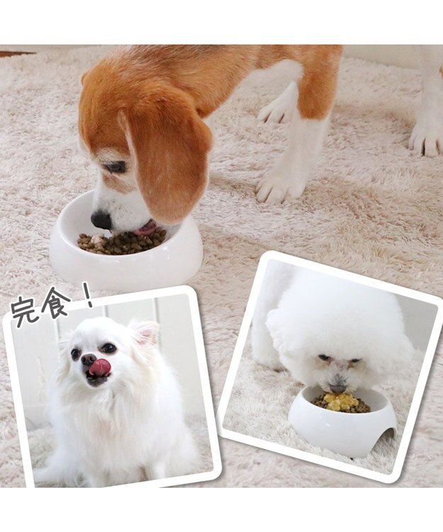 PET PARADISE リアルフード パウチスープ バラエティパック 《砂肝＆パンプキン/ レバー＆キャロット/ チキン＆ブロッコリー》 国産 バラエティパック