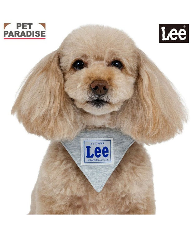 PET PARADISE Lee 両面バンダナ 首輪 ３Ｓ グレー
