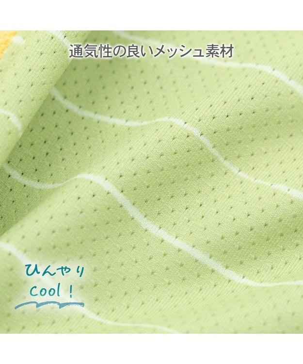 PET PARADISE ペットパラダイス 恐竜 ボーダー エコメイド タンクトップ 中型犬 大型犬 グリーン