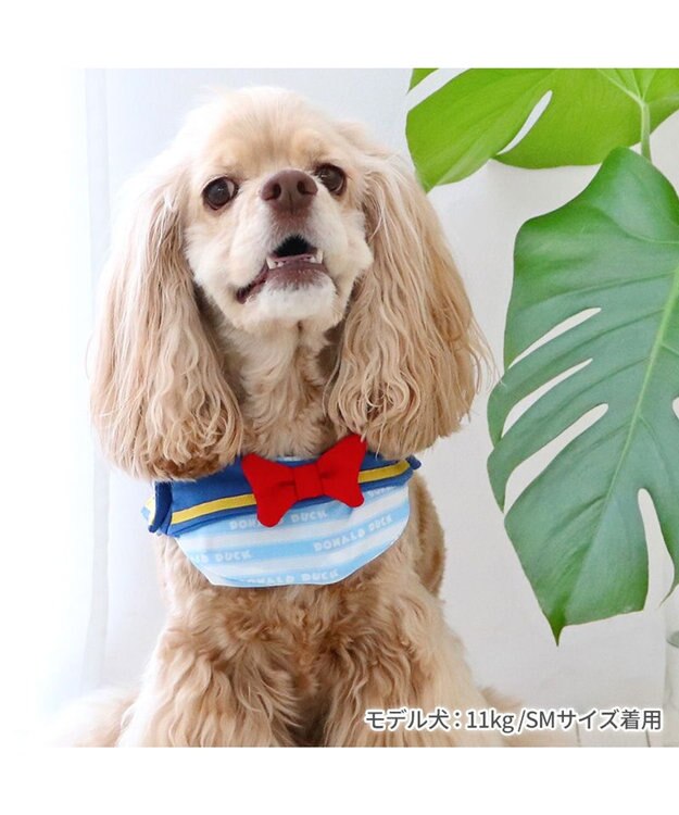 PET PARADISE ディズニー ドナルド クール バンダナ  《セーラー》 中型犬 セーラー