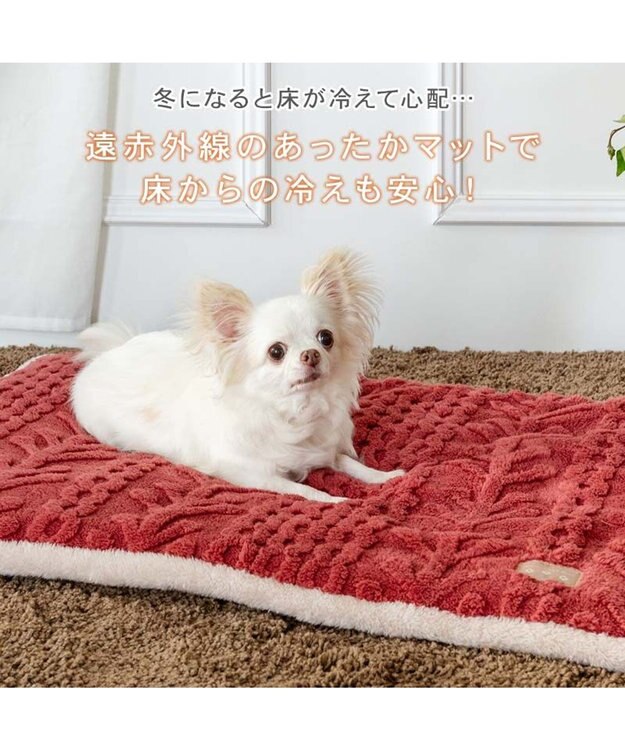PET PARADISE ペットパラダイス 遠赤外線 アランボア マット レッド