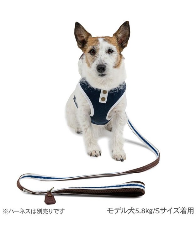 PET PARADISE ペットパラダイス ネイビー ライン入り リード ４Ｓ～３Ｓ 小型犬 ホワイト×ネイビー