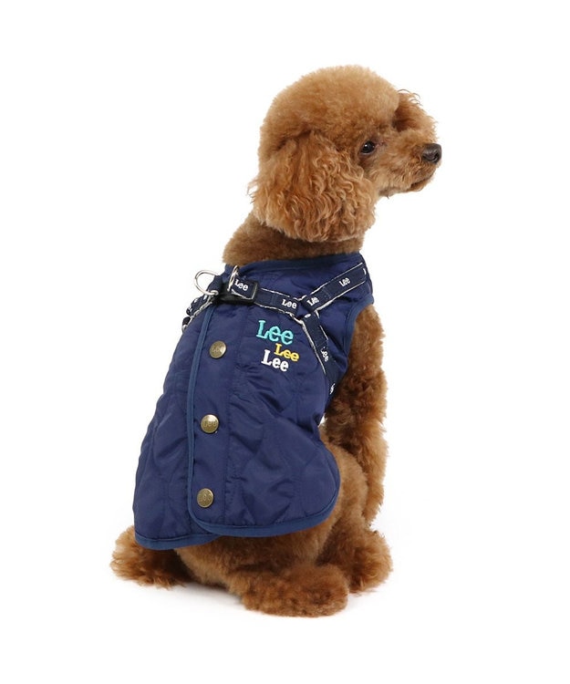 PET PARADISE Lee アウター ハーネス ベスト 小型犬 紺（ネイビー・インディゴ）