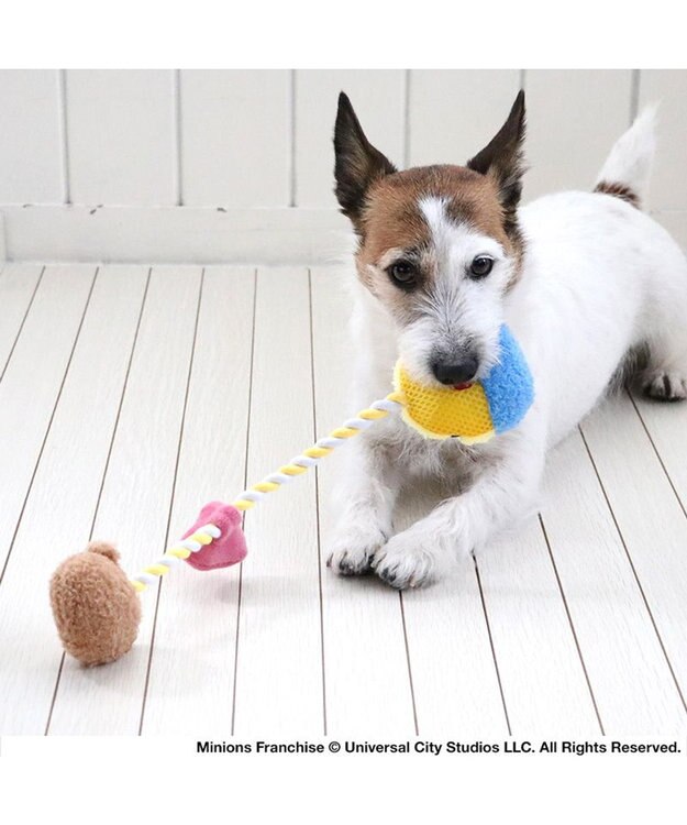 PET PARADISE ミニオン ボブ ティム ロープトイ  小型犬 イエロー