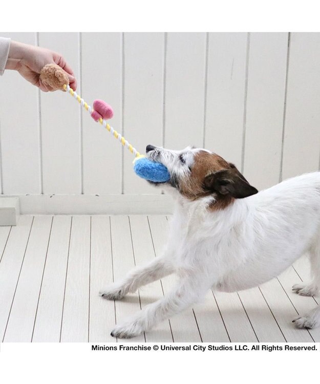 PET PARADISE ミニオン ボブ ティム ロープトイ  小型犬 イエロー