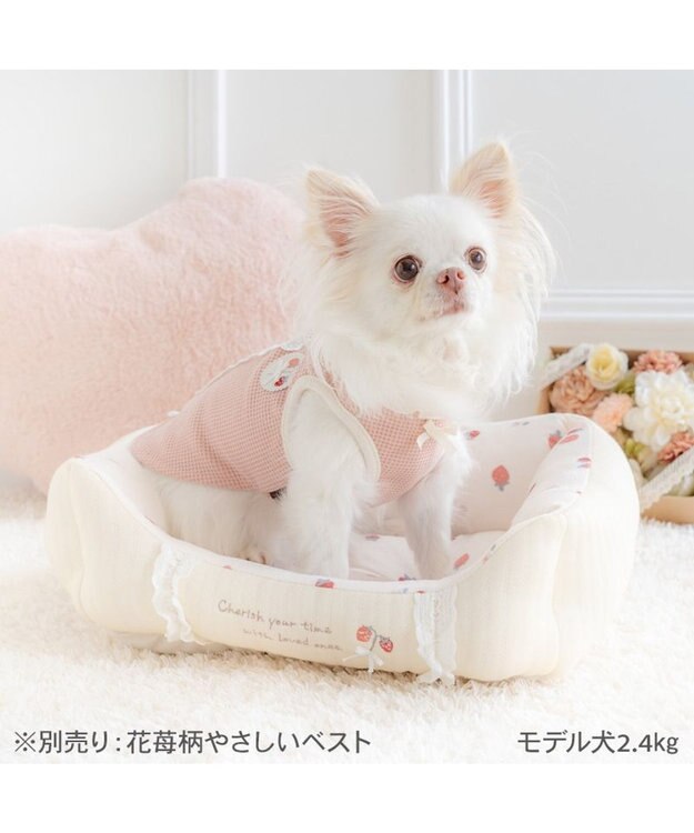 PET PARADISE ペットパラダイス カドラー 《花苺柄》 Ｓ ホワイト×レッド