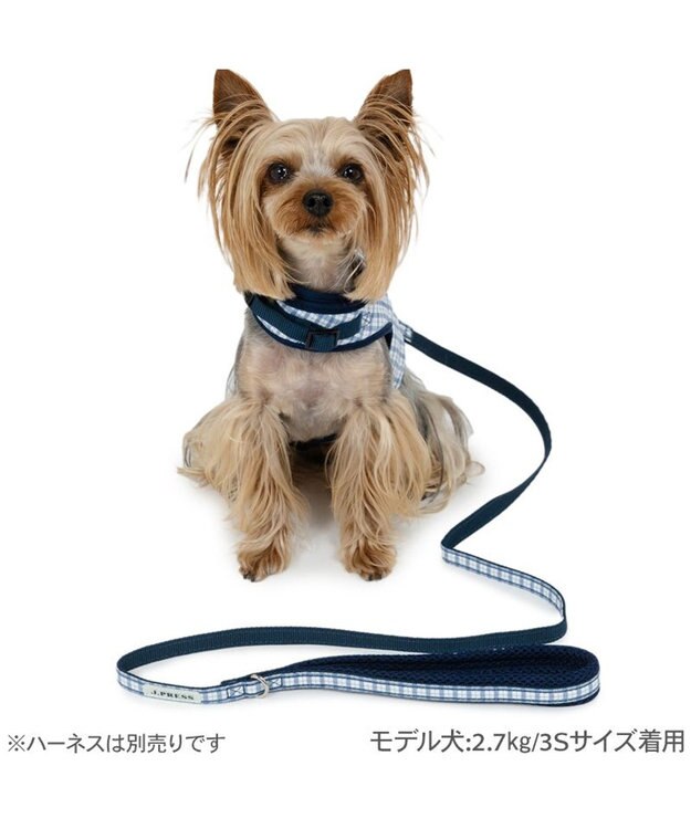 PET PARADISE J.PRESS リード  《チェック柄》 ＳＭ 中型犬 ホワイト×ブルー