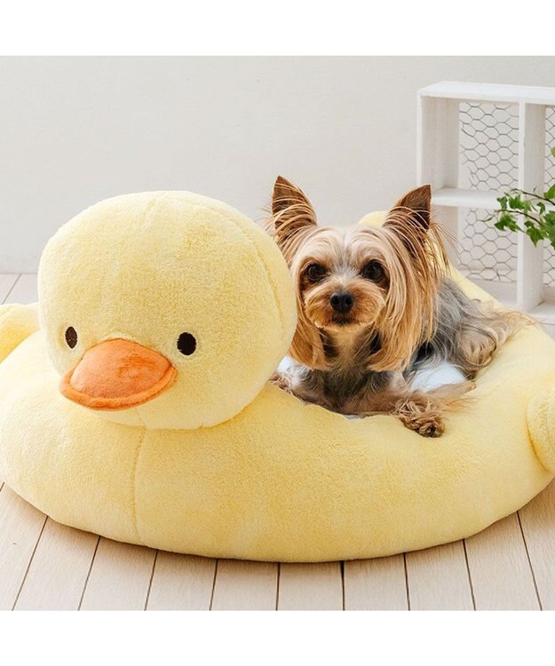 PET PARADISE ペットパラダイス アヒル クールカドラー イエロー