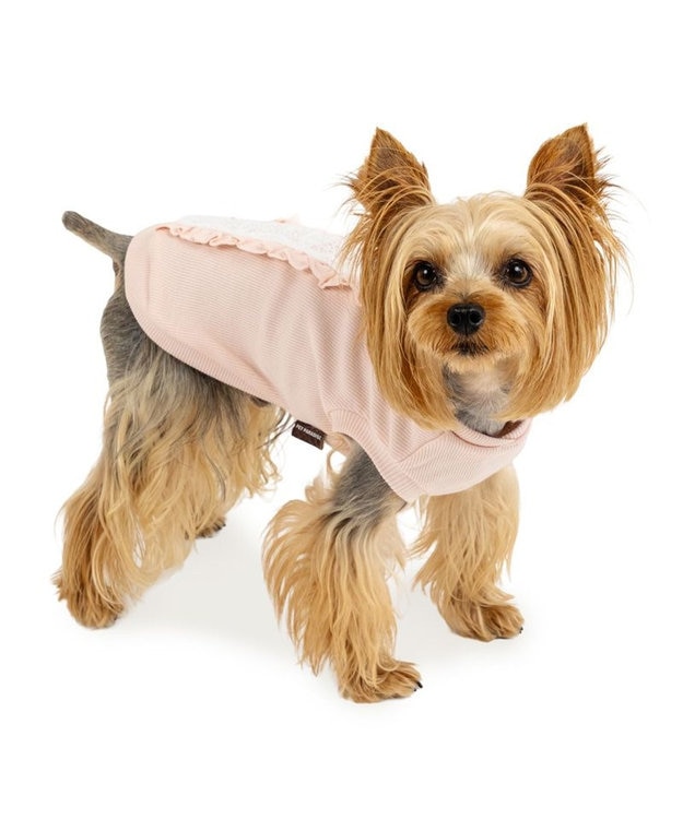 PET PARADISE ペットパラダイス  プレミアム ペティヒート レース Tシャツ 超小型犬 小型犬 ピンク