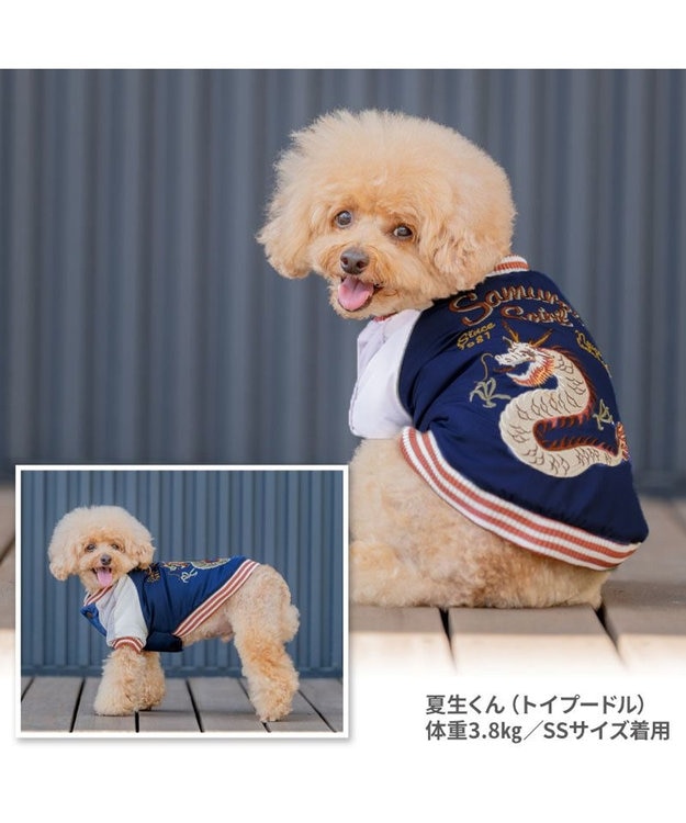 PET PARADISE ペットパラダイス 遠赤外線 スカジャン 《龍》 小型犬 -