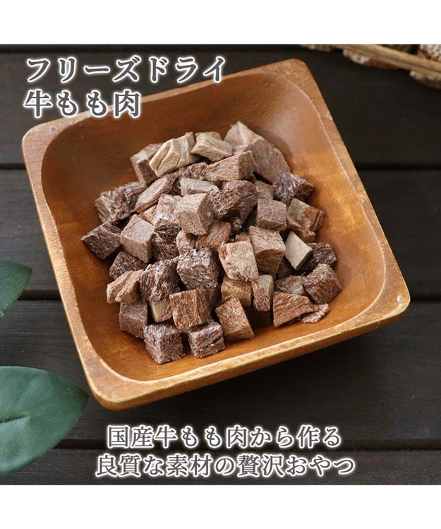 PET PARADISE プレミアムフード フリーズドライ 牛もも肉 18g -