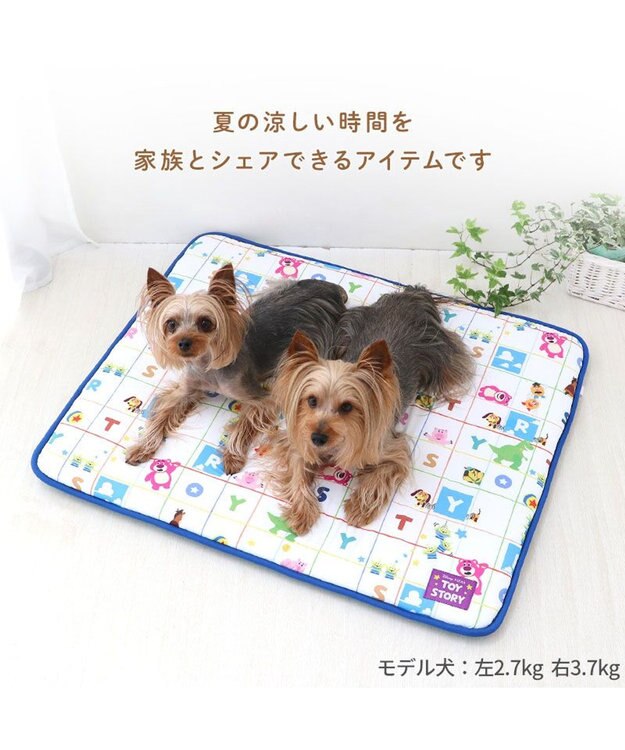 PET PARADISE ディズニー トイ・ストーリー もちっと クールマット 防臭 0