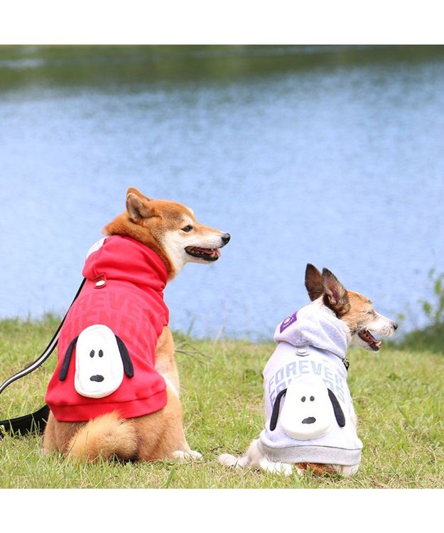 PET PARADISE スヌーピー ずっ友 お揃い パーカー 《グレー》 小型犬 グレー