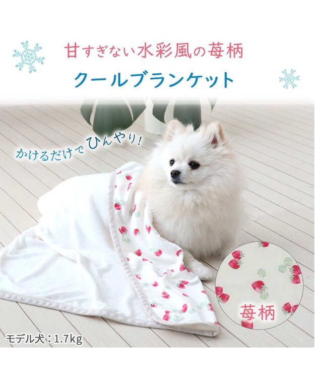 PET PARADISE ペットパラダイス クールブランケット 単品 (90×60cm)  《 苺柄 / ネイティブ柄 》 苺柄