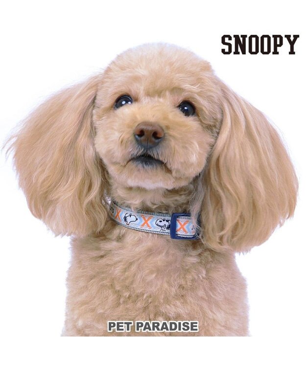 PET PARADISE スヌーピージョークール 反射 お揃い首輪  【Ｓ】 青