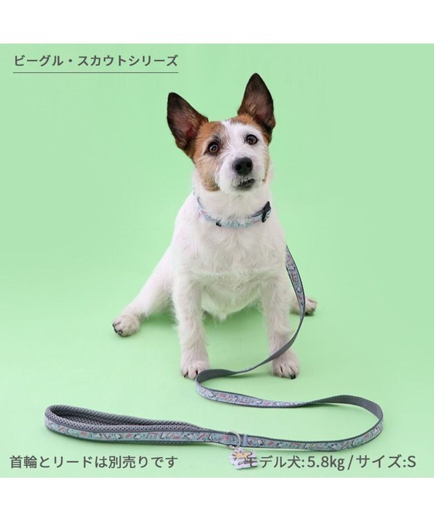 PET PARADISE スヌーピー 首輪 《 ビーグルスカウト》 ＳＳ 小型犬 ビーグルスカウト
