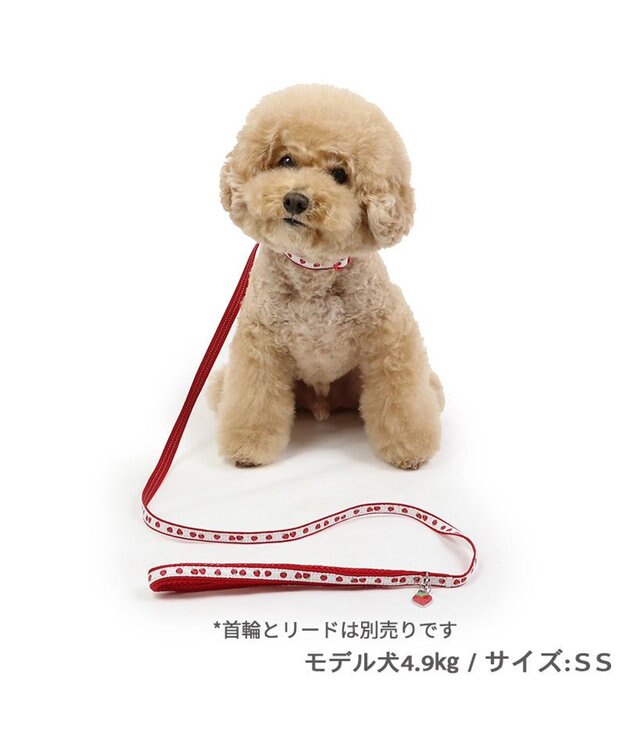 PET PARADISE ペットパラダイス 苺チャーム付き リード Ｓ レッド