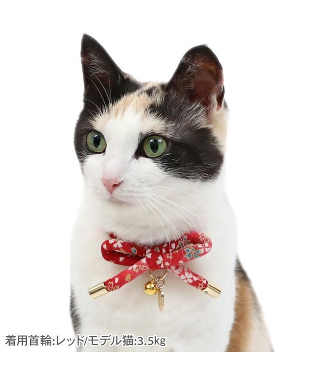 PET PARADISE ペットパラダイス 和むすび 猫首輪  《赤》 小 / 中 赤