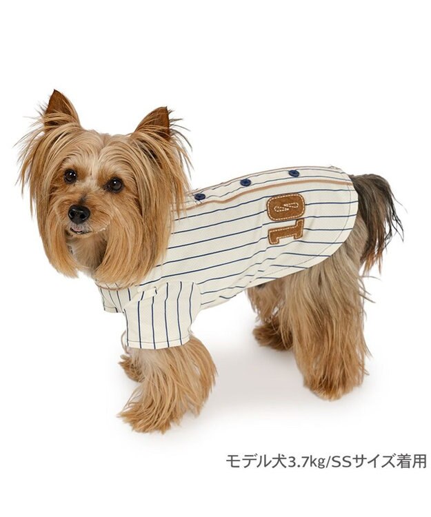 PET PARADISE ペットパラダイス 野球 Tシャツ 小型犬 ホワイト×ブラウン