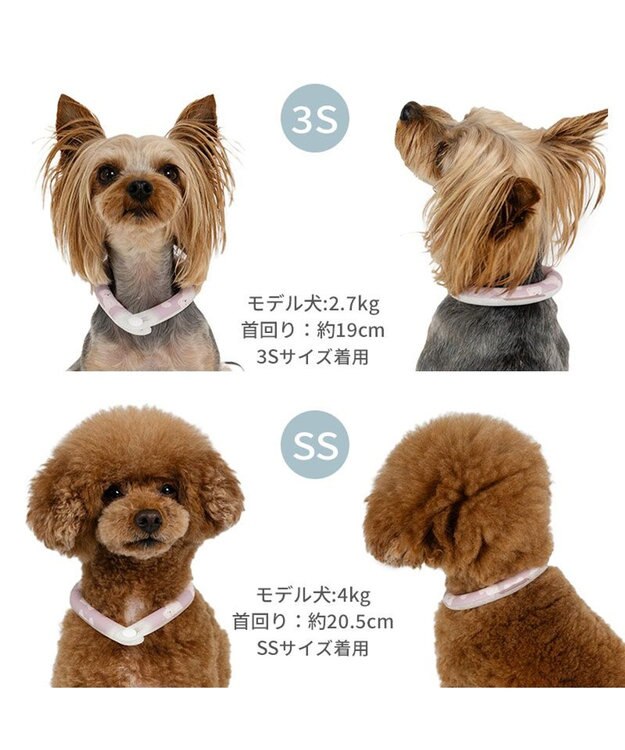 PET PARADISE ペットパラダイス 28℃クールリング 《くま》 ＳＳ 小型犬 くま柄