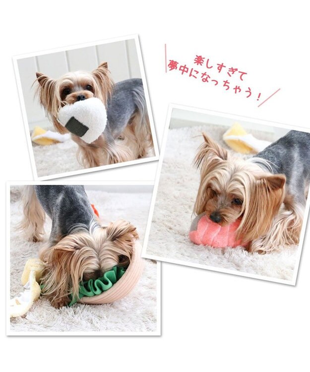 PET PARADISE ペットパラダイス 和風お弁当 ノーズトイ 《おにぎり》 おにぎりセット