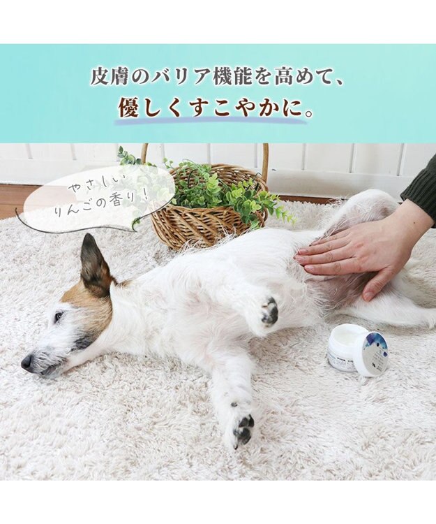 PET PARADISE ミネラルミューズ パウ＆スキンケアクリーム 50mL 青