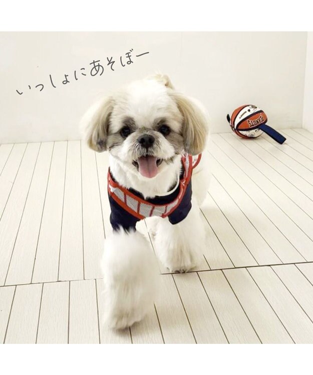 PET PARADISE スヌーピー タブ付 バスケットボール  トイ オレンジ×ホワイト