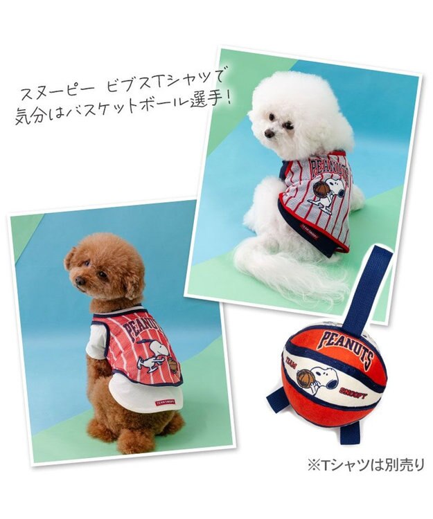 PET PARADISE スヌーピー タブ付 バスケットボール  トイ オレンジ×ホワイト