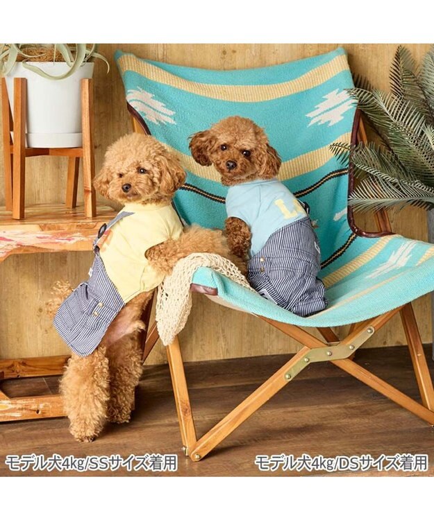 PET PARADISE Lee ワンショルダー スカートつなぎ 《ヒッコリー》 小型犬 イエロー