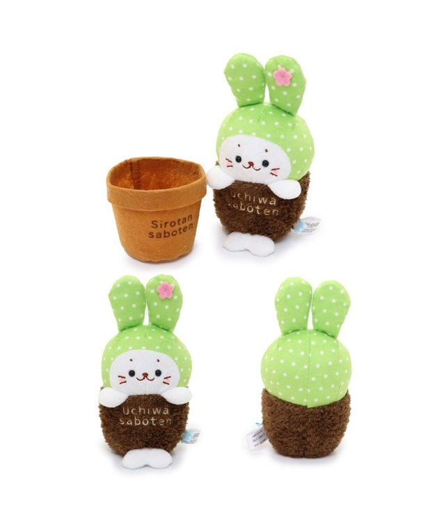 Mother garden しろたん サボテン マスコット 《うちわサボテン》 うちわサボテン