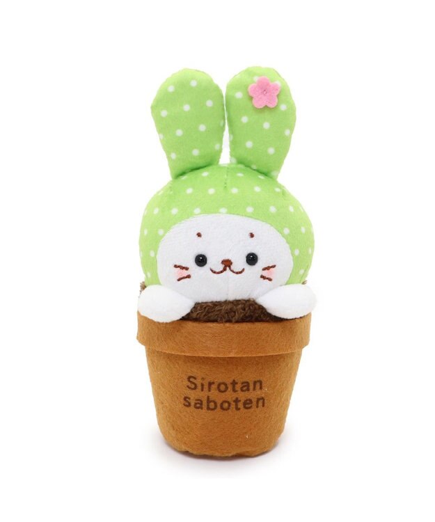 Mother garden しろたん サボテン マスコット 《うちわサボテン》 うちわサボテン