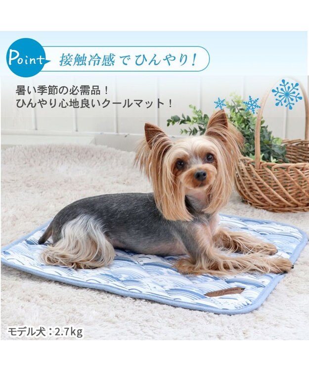 PET PARADISE 犬 クール マット 冷感 柔らか クールマット (48×40cm) 苺 くまちゃん ネイティブ 接触冷感 ひんやり ペット ネイティブ柄