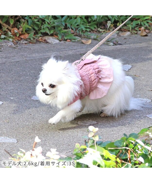 PET PARADISE ペットパラダイス アウター ハーネス ベスト 《フリル》 小型犬 フリル