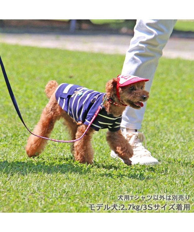 PET PARADISE スヌーピー お揃い 野球柄 Ｔシャツ 【小型犬】《ネイビー／ホワイト》 ネイビー
