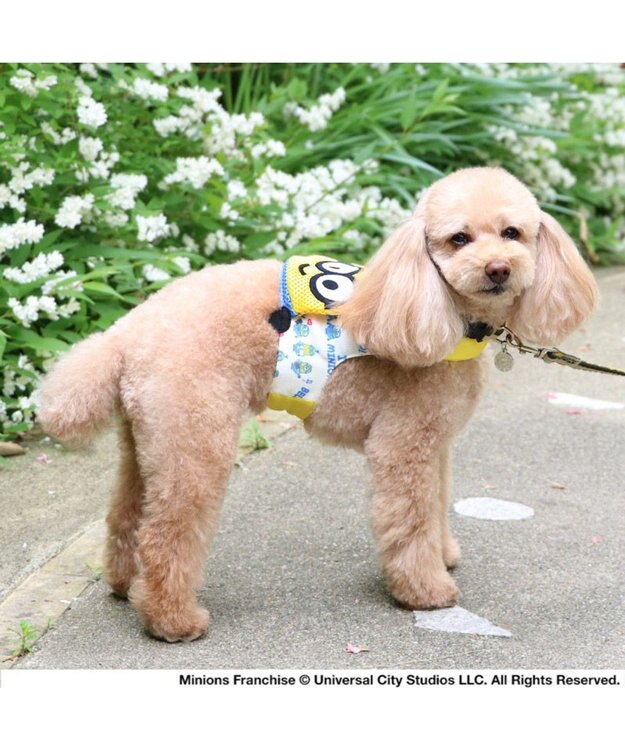 PET PARADISE ミニオン ボブ  クールベスト 小型犬 イエロー