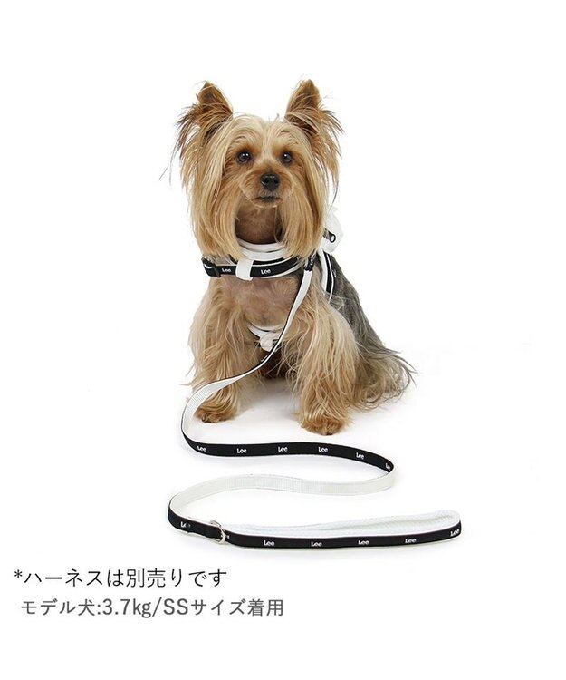 PET PARADISE  Ｌｅｅ 白テープ リード 超小型犬 ４Ｓ~３Ｓ 黒