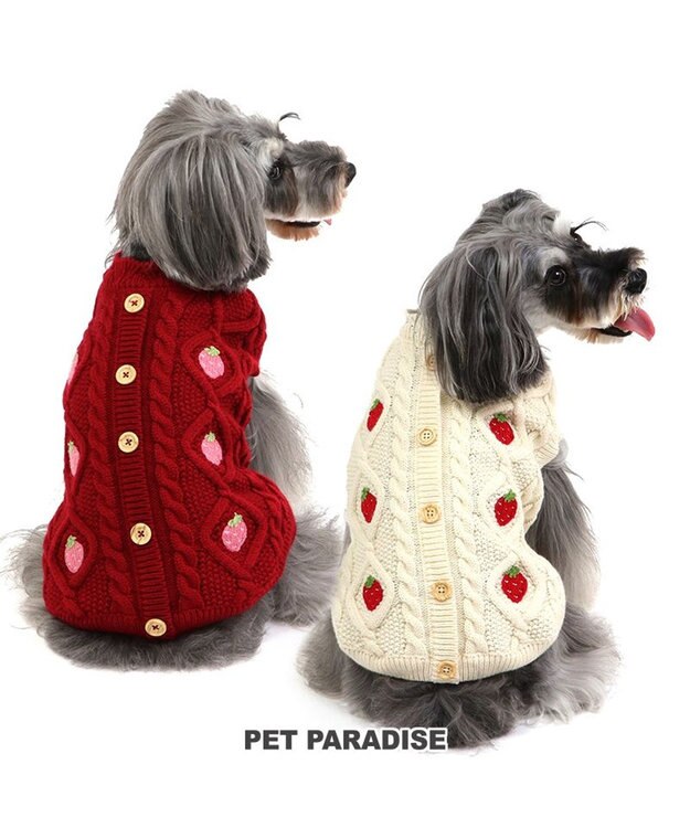 PET PARADISE ペットパラダイス アランニット 苺柄 《ホワイト》 小型犬 ホワイト