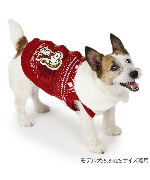 PET PARADISE スヌーピー スケート ニット 《レッド》 小型犬 レッド