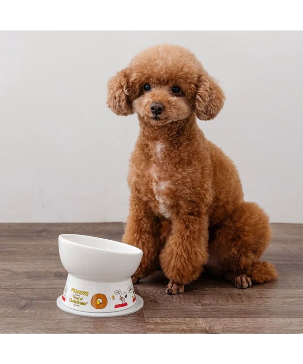PET PARADISE スヌーピー 高さのある フードボウル 小型犬 ホワイト