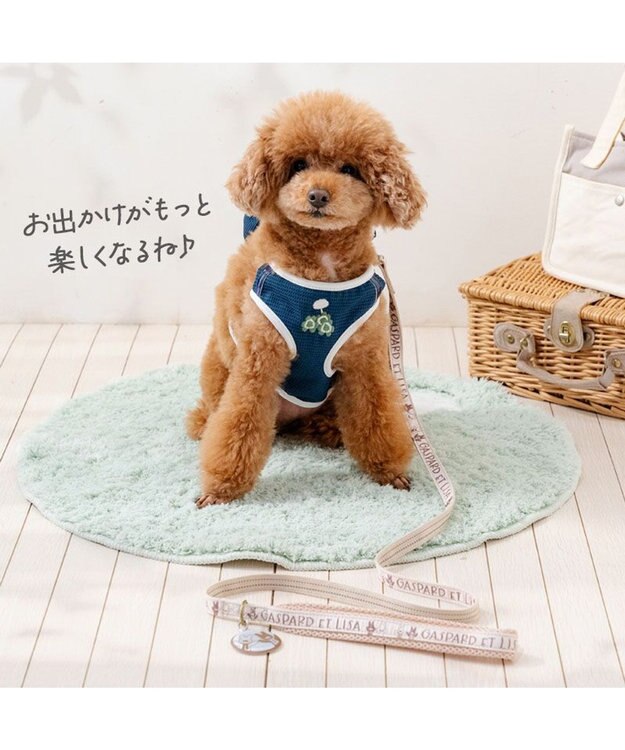 PET PARADISE リサとガスパール リサ顔リュック付き ハーネス ３Ｓ ネイビー