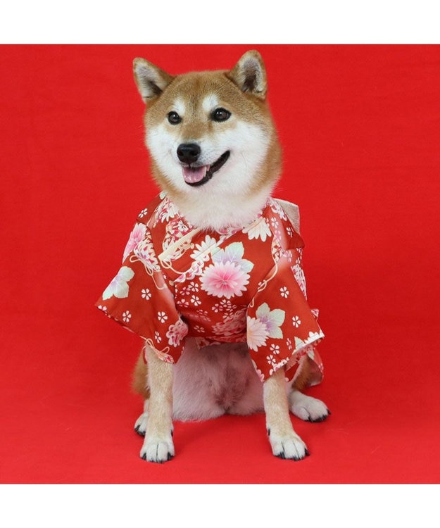 PET PARADISE ペットパラダイス 手毬菊 着物 中型犬 レッド