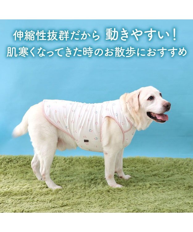 PET PARADISE ペットパラダイス ペティヒート天竺 タンクトップ 《さくらんぼ柄》  中型犬 大型犬 ピンク