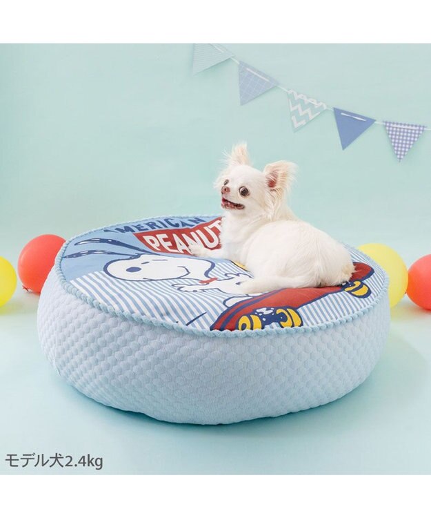 PET PARADISE 【8月初旬お届け】スヌーピー スケボークッション Ｍ ブルー