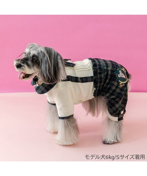 PET PARADISE ディズニー わんわん物語 トランプ パンツつなぎ 小型犬 グリーン