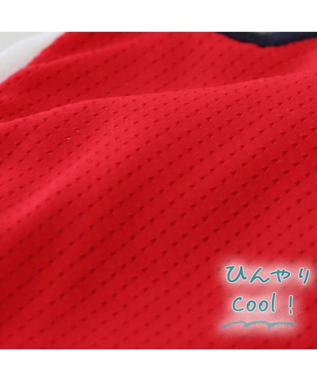 PET PARADISE スヌーピー バレーボール Tシャツ 接触冷感《レッド》 小型犬 レッド