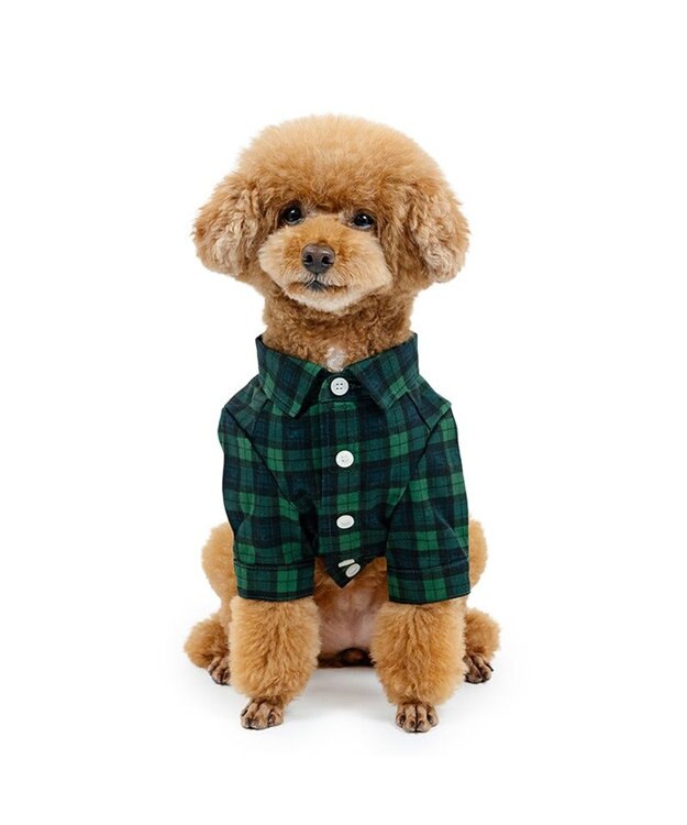 PET PARADISE J.PRESS ブラック格子 シャツ 小型犬 グリーン