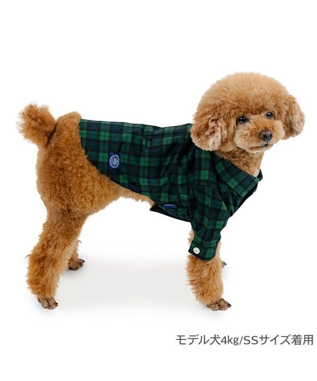 PET PARADISE J.PRESS ブラック格子 シャツ 小型犬 グリーン