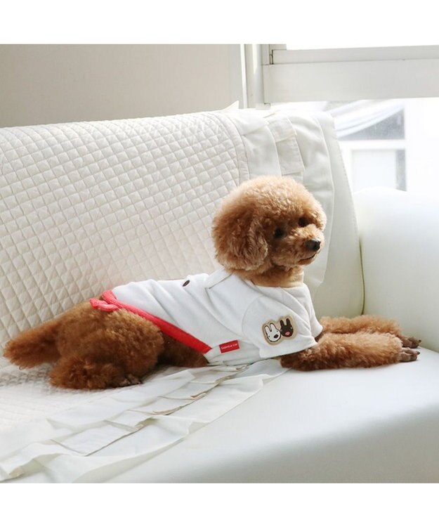 PET PARADISE リサとガスパール サーモキープ リサお顔Tシャツ  小型犬 ホワイト